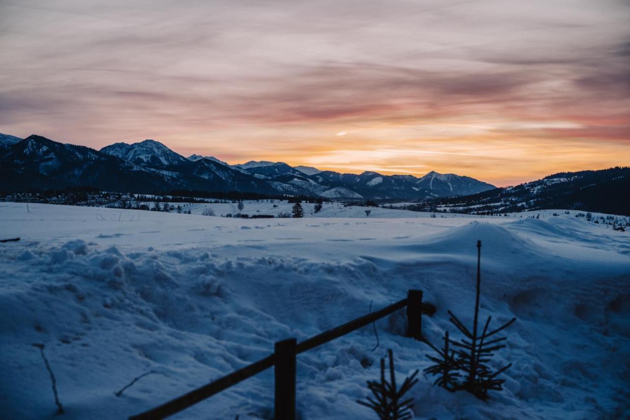 Sopa Zakopane Villa Екстериор снимка